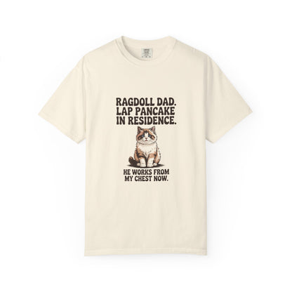 Ragdoll — Ragdoll Dad. Lap pancake in residence