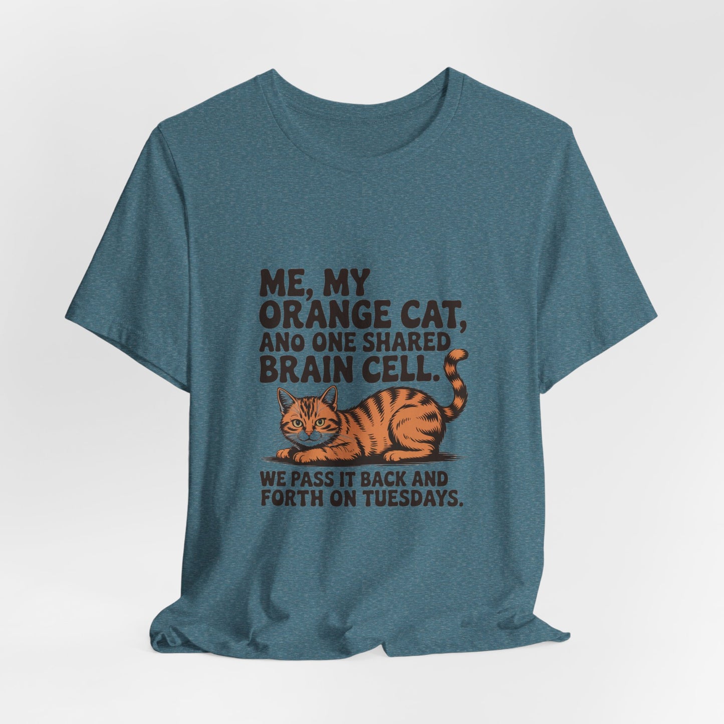 Orange Tabby — Me, my orange cat, and one shared brain cell