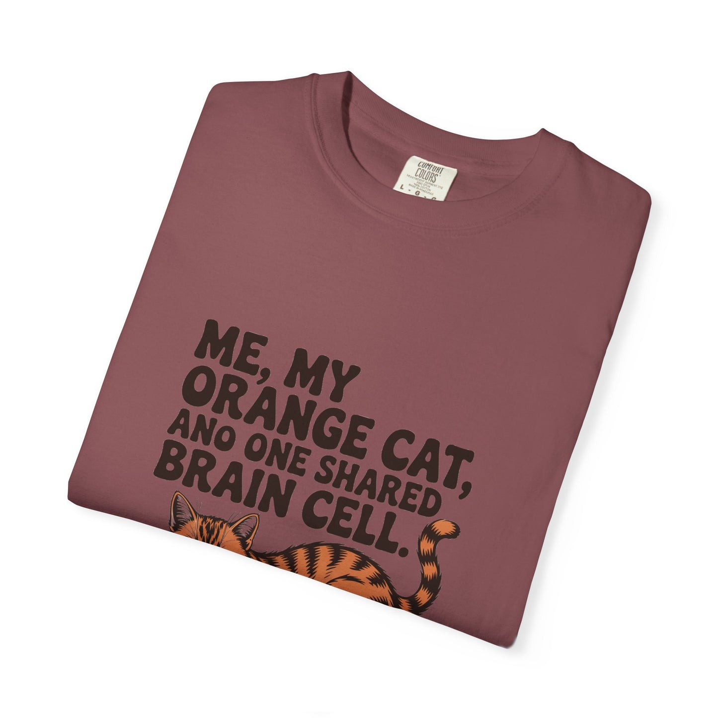 Orange Tabby — Me, my orange cat, and one shared brain cell
