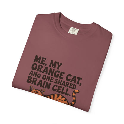 Orange Tabby — Me, my orange cat, and one shared brain cell