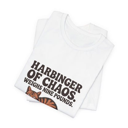 Orange Tabby — Harbinger of chaos. Weighs nine pounds