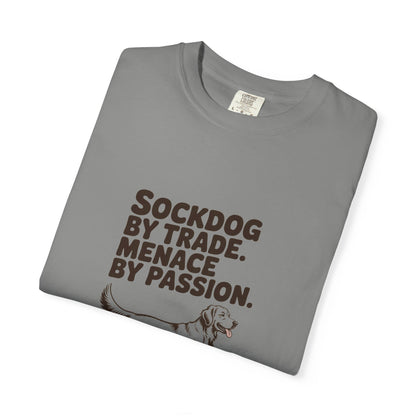 Golden Retriever — Sockdog by trade. Menace by passion