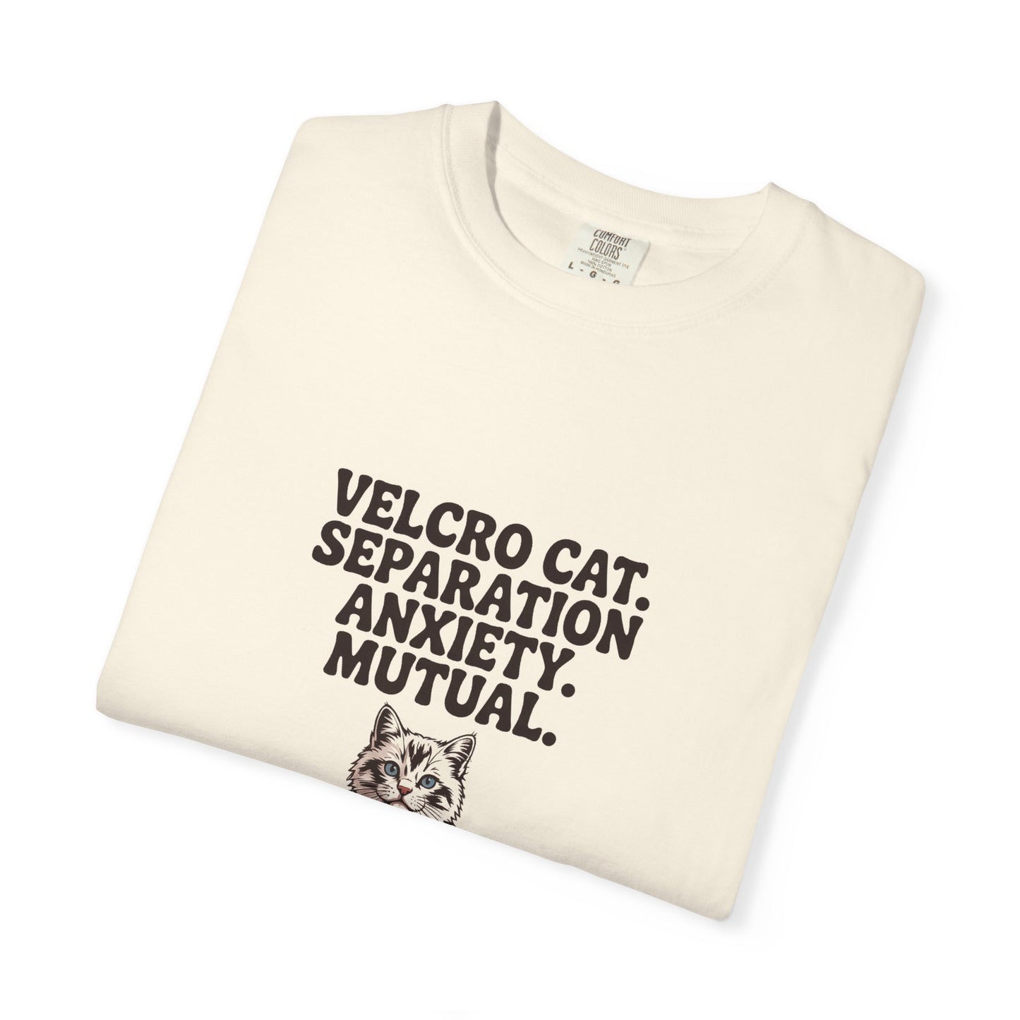 Ragdoll — Velcro cat. Separation anxiety. Mutual