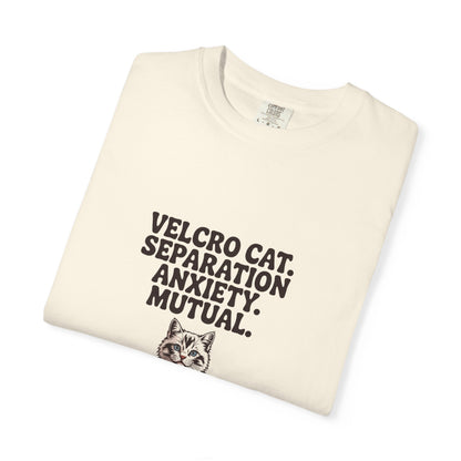 Ragdoll — Velcro cat. Separation anxiety. Mutual