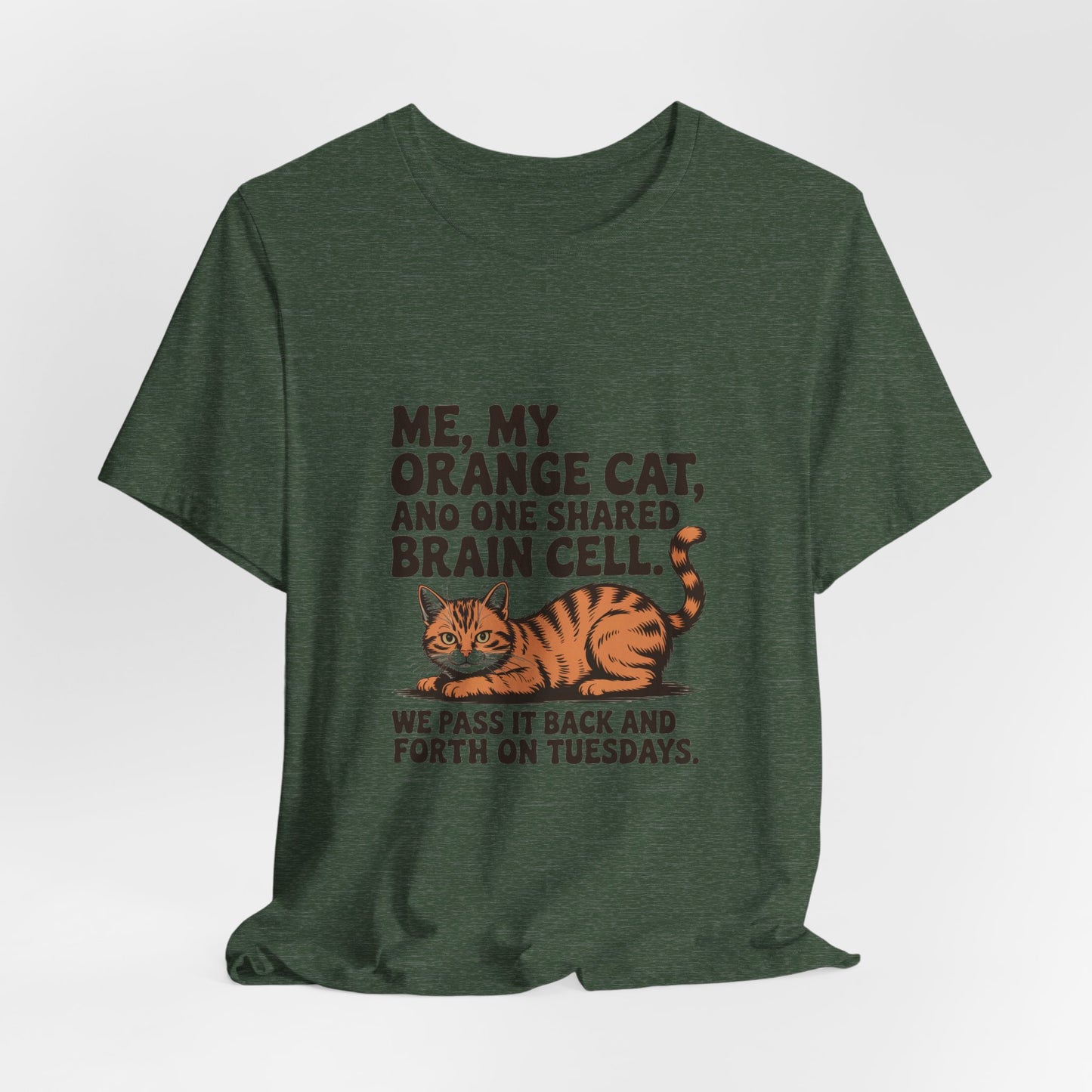 Orange Tabby — Me, my orange cat, and one shared brain cell