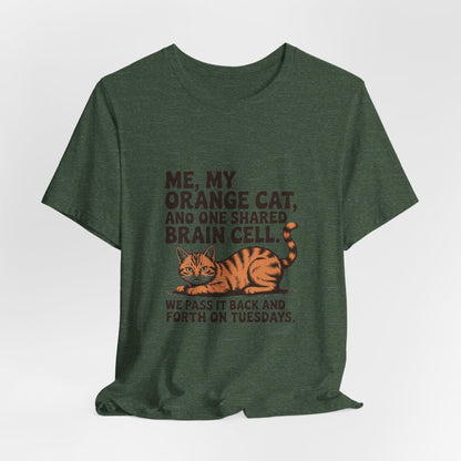 Orange Tabby — Me, my orange cat, and one shared brain cell