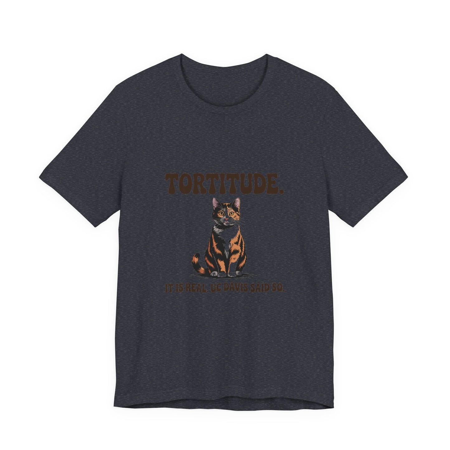 Tortoiseshell — Tortitude