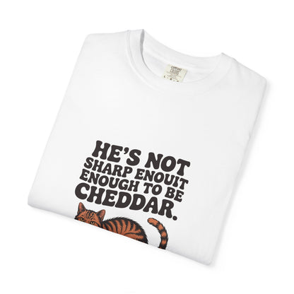 Orange Tabby — He's not sharp enough to be cheddar