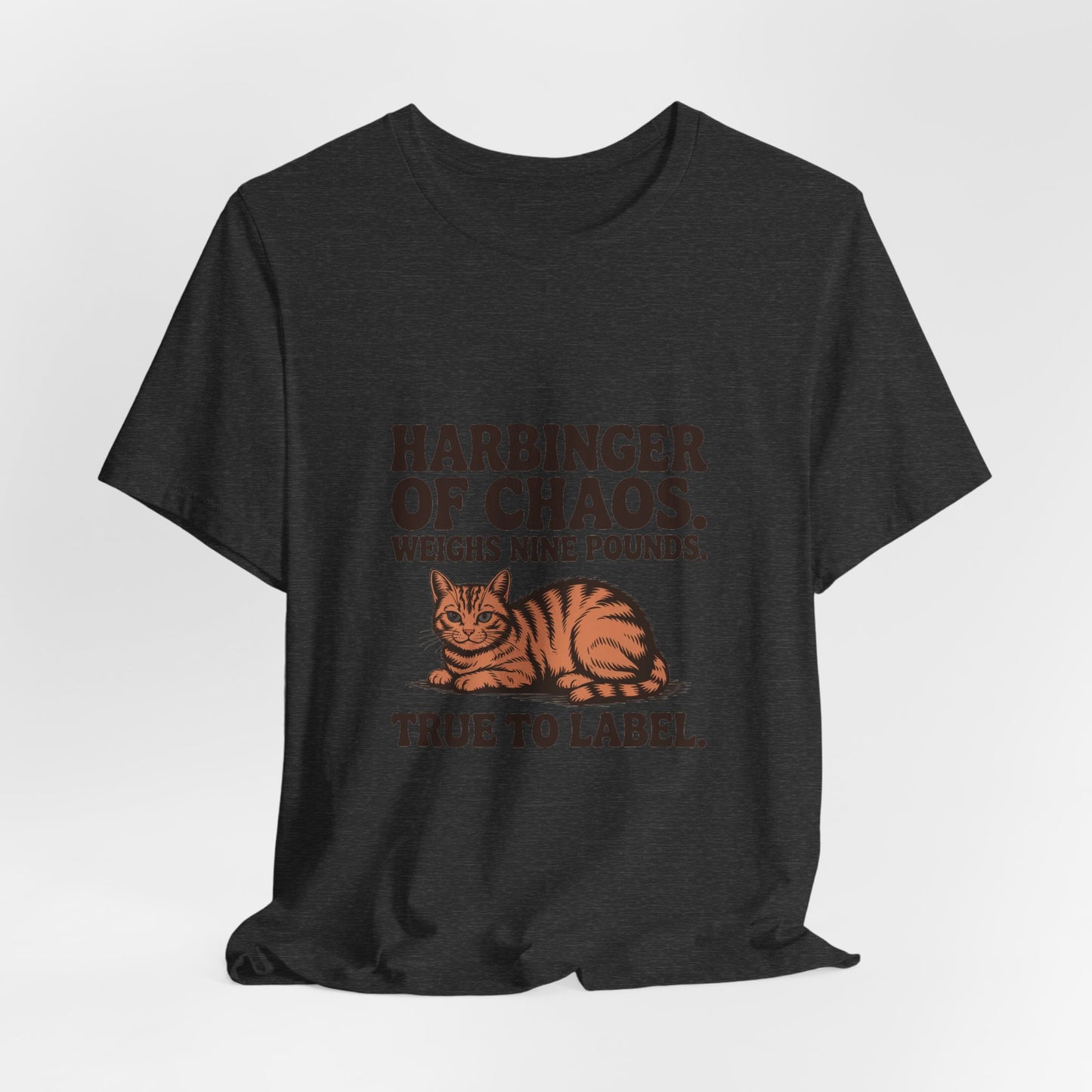 Orange Tabby — Harbinger of chaos. Weighs nine pounds