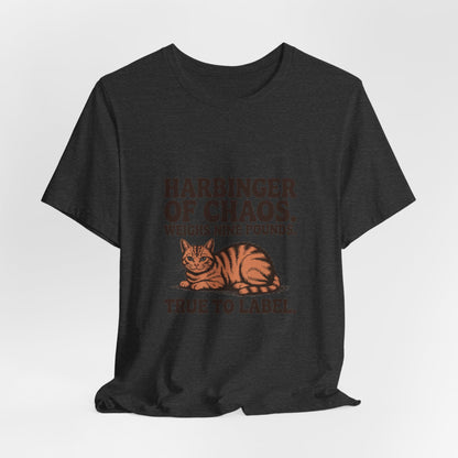 Orange Tabby — Harbinger of chaos. Weighs nine pounds