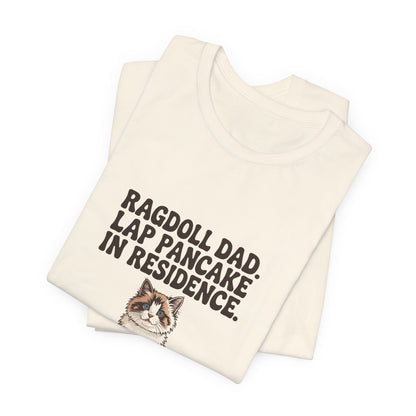 Ragdoll — Ragdoll Dad. Lap pancake in residence