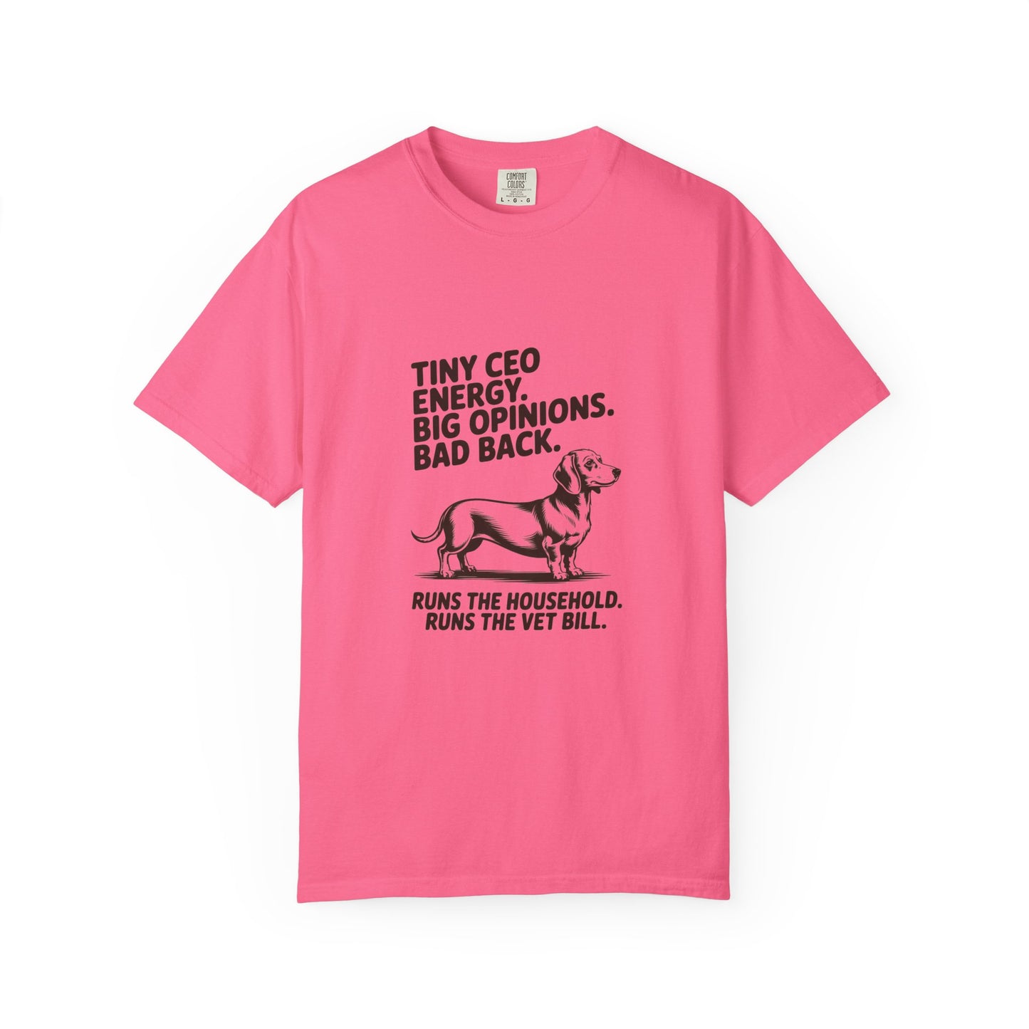 Dachshund — Tiny CEO energy. Big opinions. Bad back
