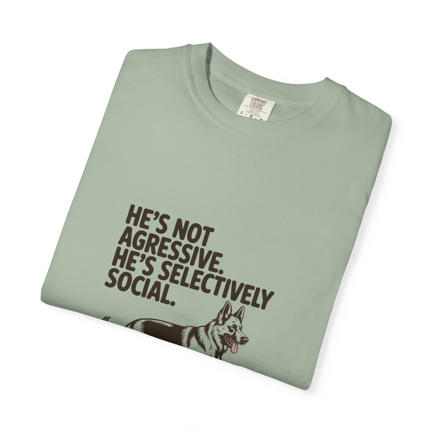 German Shepherd — He's not aggressive. He's selectively social