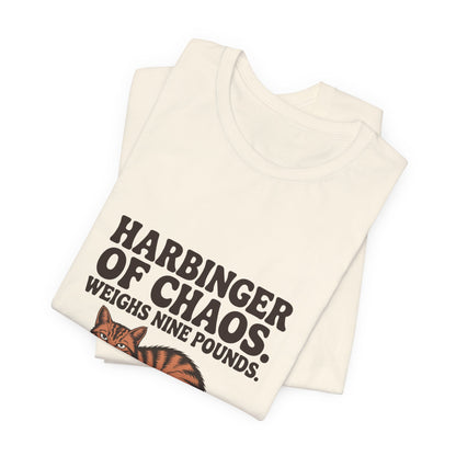 Orange Tabby — Harbinger of chaos. Weighs nine pounds