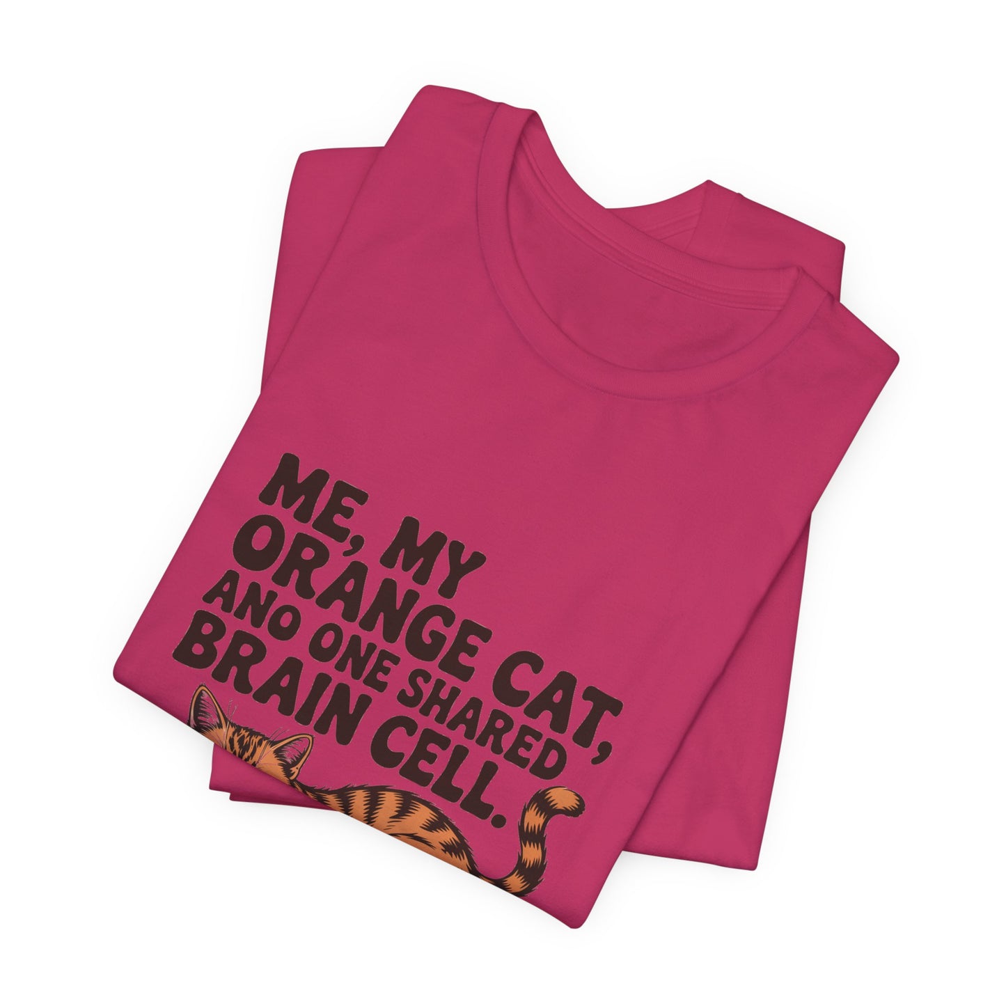 Orange Tabby — Me, my orange cat, and one shared brain cell