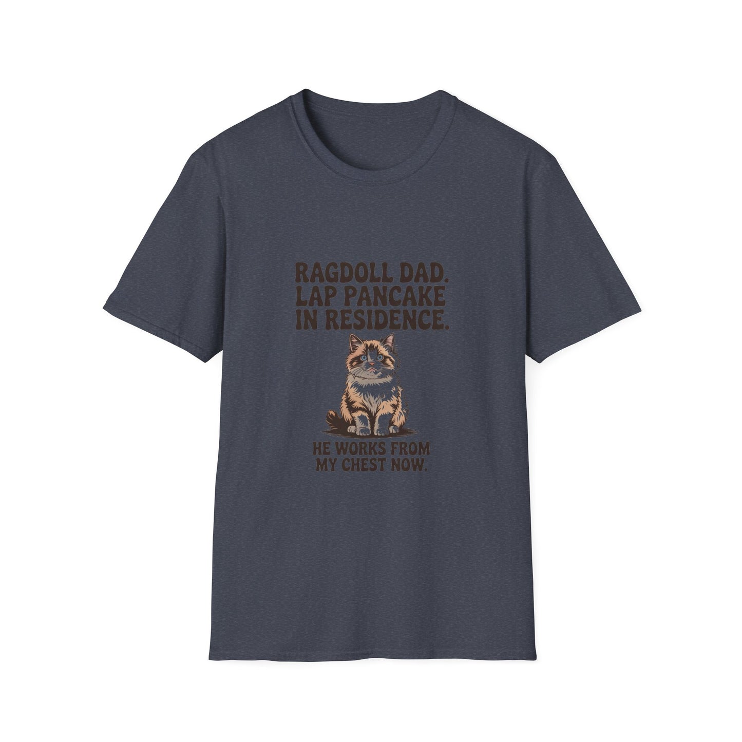 Ragdoll — Ragdoll Dad. Lap pancake in residence