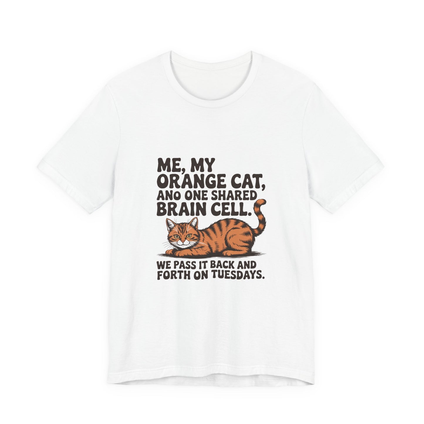Orange Tabby — Me, my orange cat, and one shared brain cell