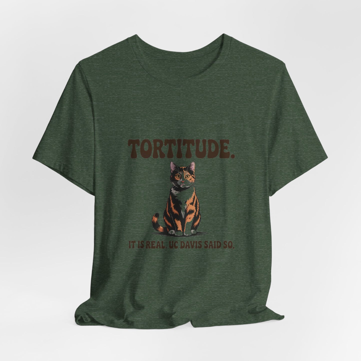 Tortoiseshell — Tortitude