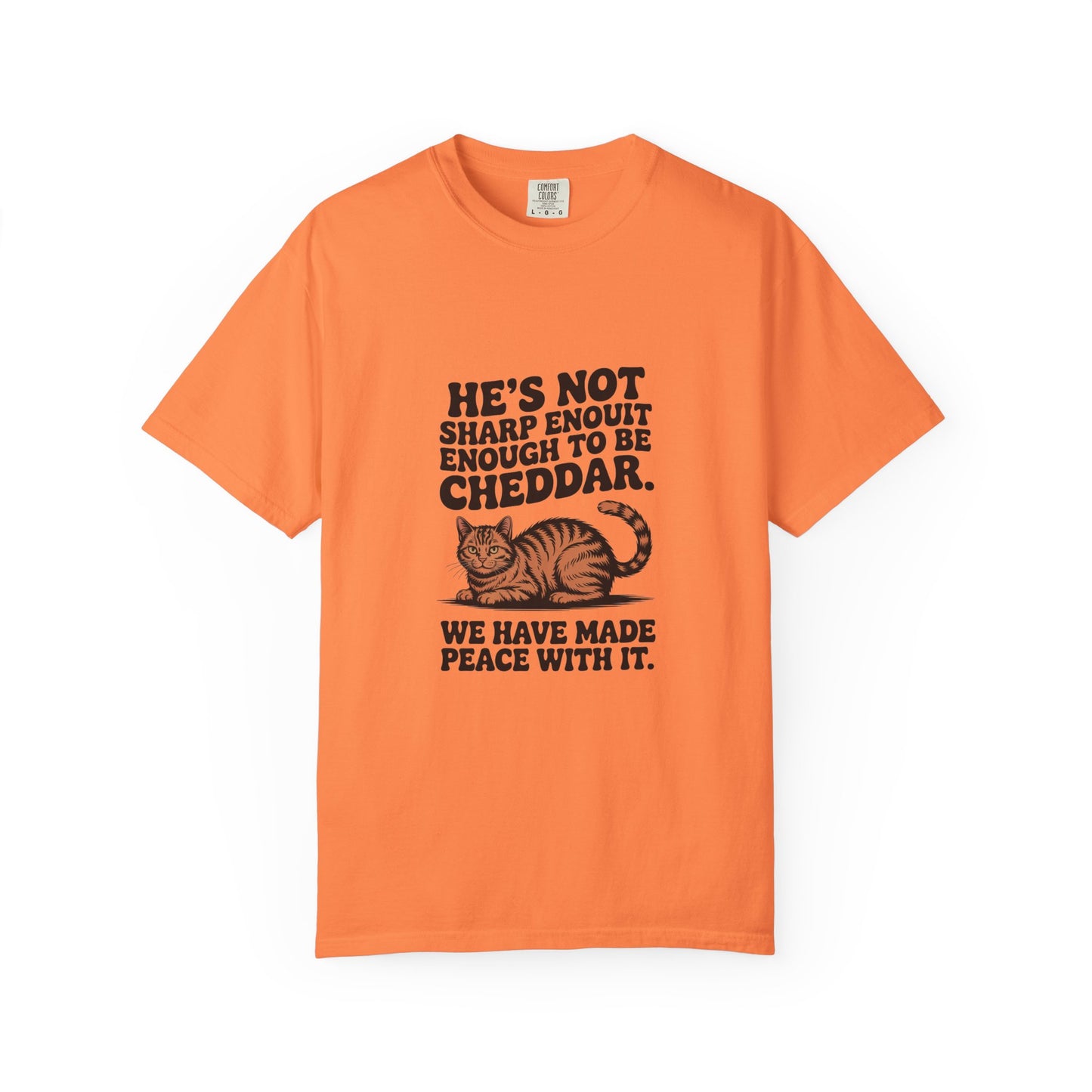 Orange Tabby — He's not sharp enough to be cheddar