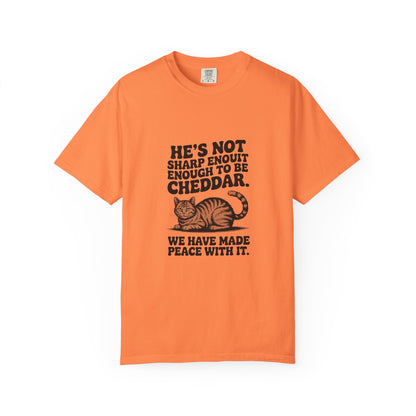 Orange Tabby — He's not sharp enough to be cheddar