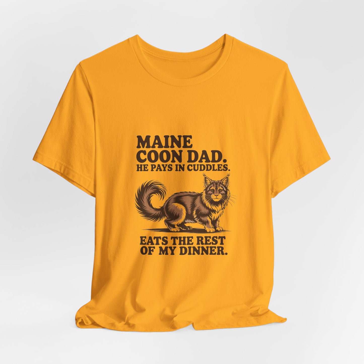 Maine Coon — Maine Coon Dad. He pays in cuddles