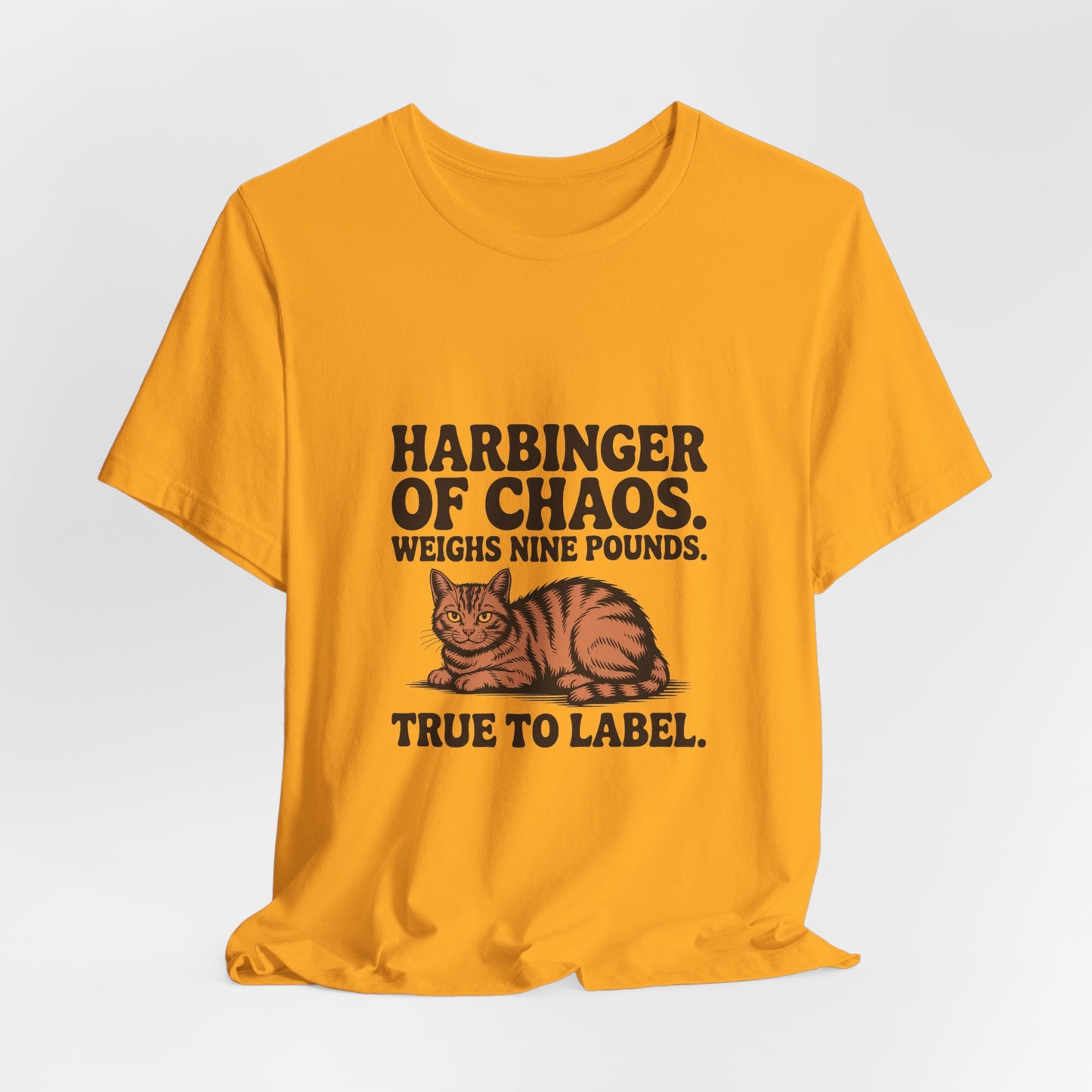 Orange Tabby — Harbinger of chaos. Weighs nine pounds