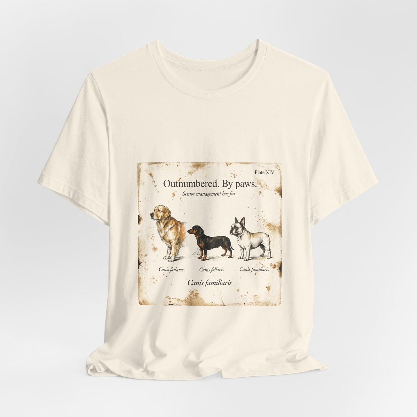 Dog Mom — Outnumbered by Paws