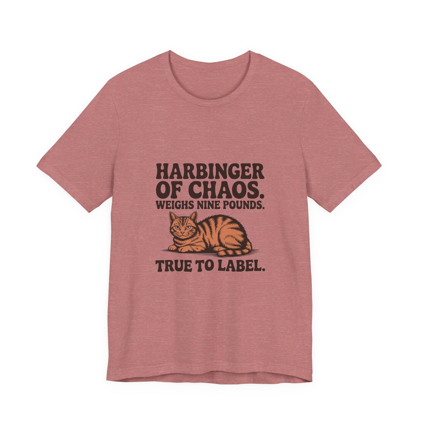 Orange Tabby — Harbinger of chaos. Weighs nine pounds