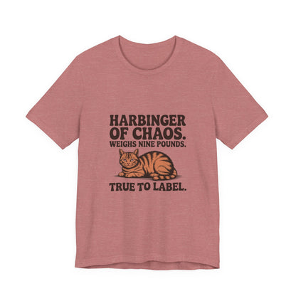 Orange Tabby — Harbinger of chaos. Weighs nine pounds