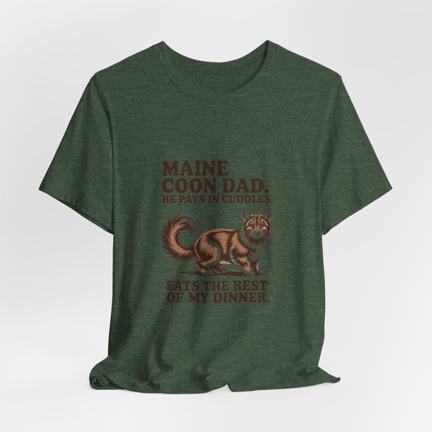 Maine Coon — Maine Coon Dad. He pays in cuddles