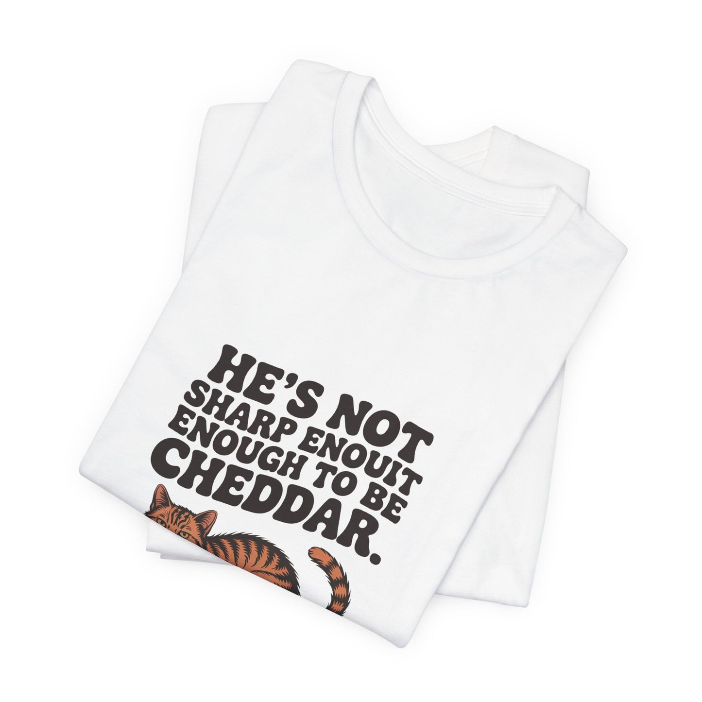 Orange Tabby — He's not sharp enough to be cheddar