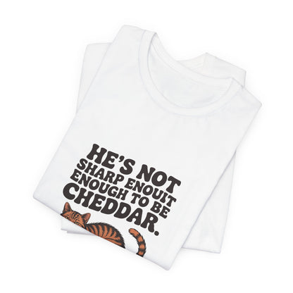 Orange Tabby — He's not sharp enough to be cheddar