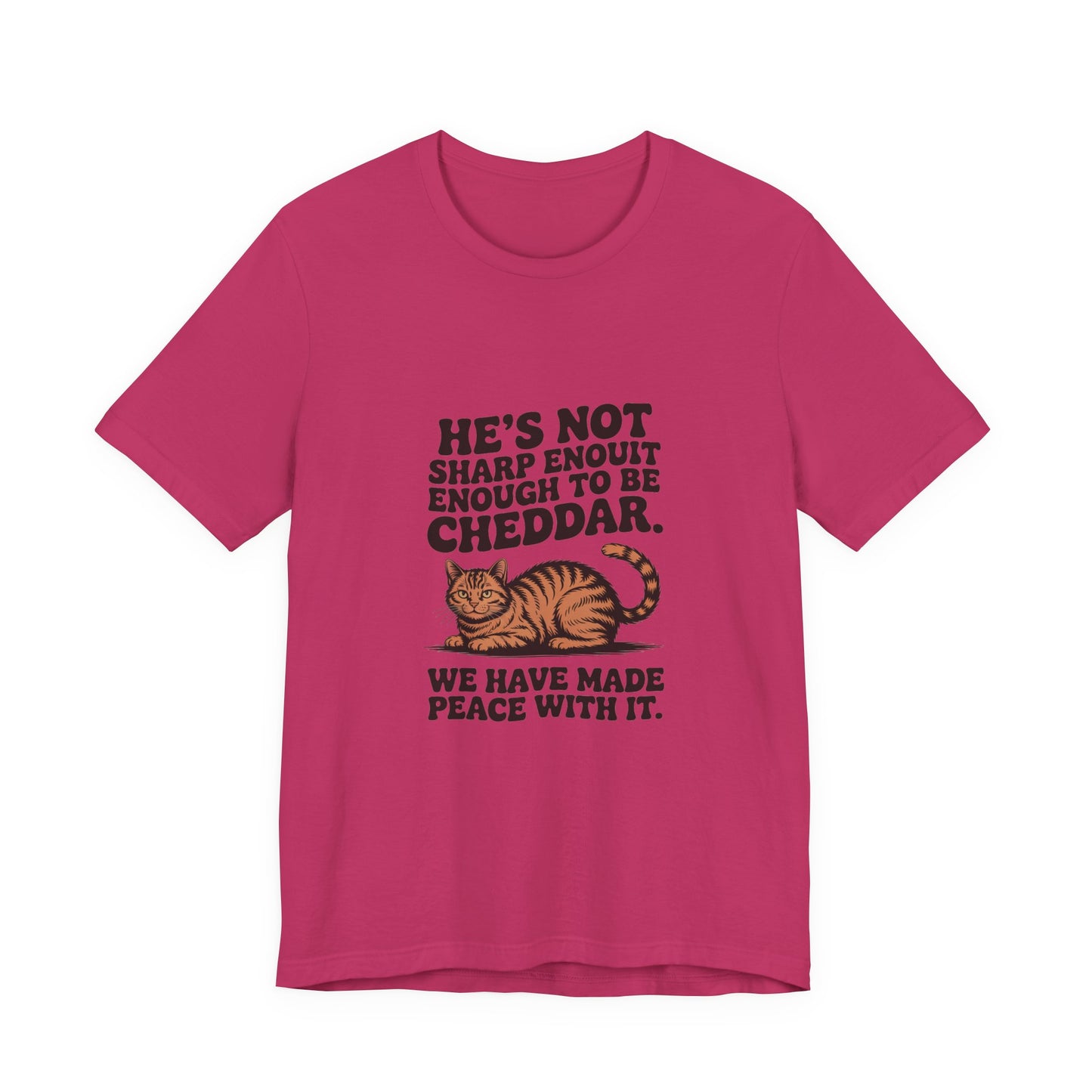 Orange Tabby — He's not sharp enough to be cheddar
