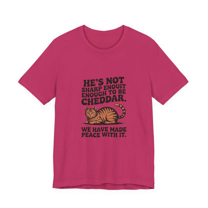 Orange Tabby — He's not sharp enough to be cheddar
