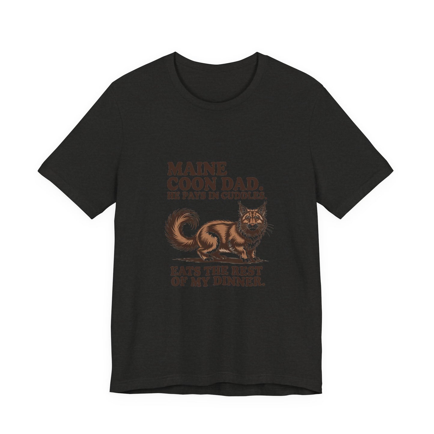Maine Coon — Maine Coon Dad. He pays in cuddles