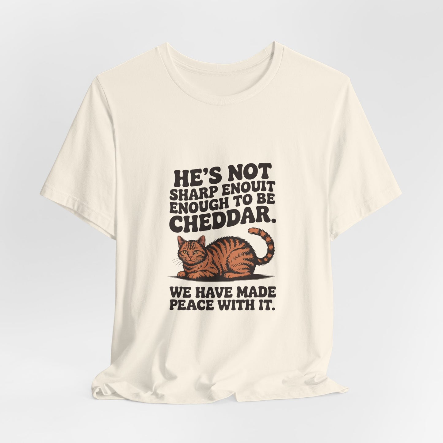 Orange Tabby — He's not sharp enough to be cheddar