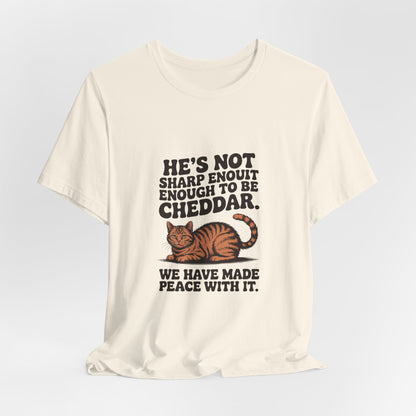 Orange Tabby — He's not sharp enough to be cheddar