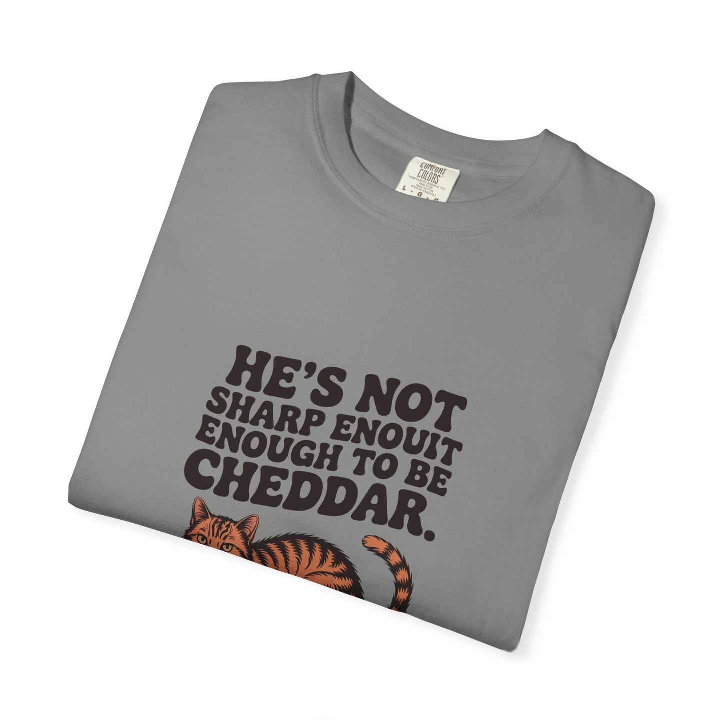 Orange Tabby — He's not sharp enough to be cheddar