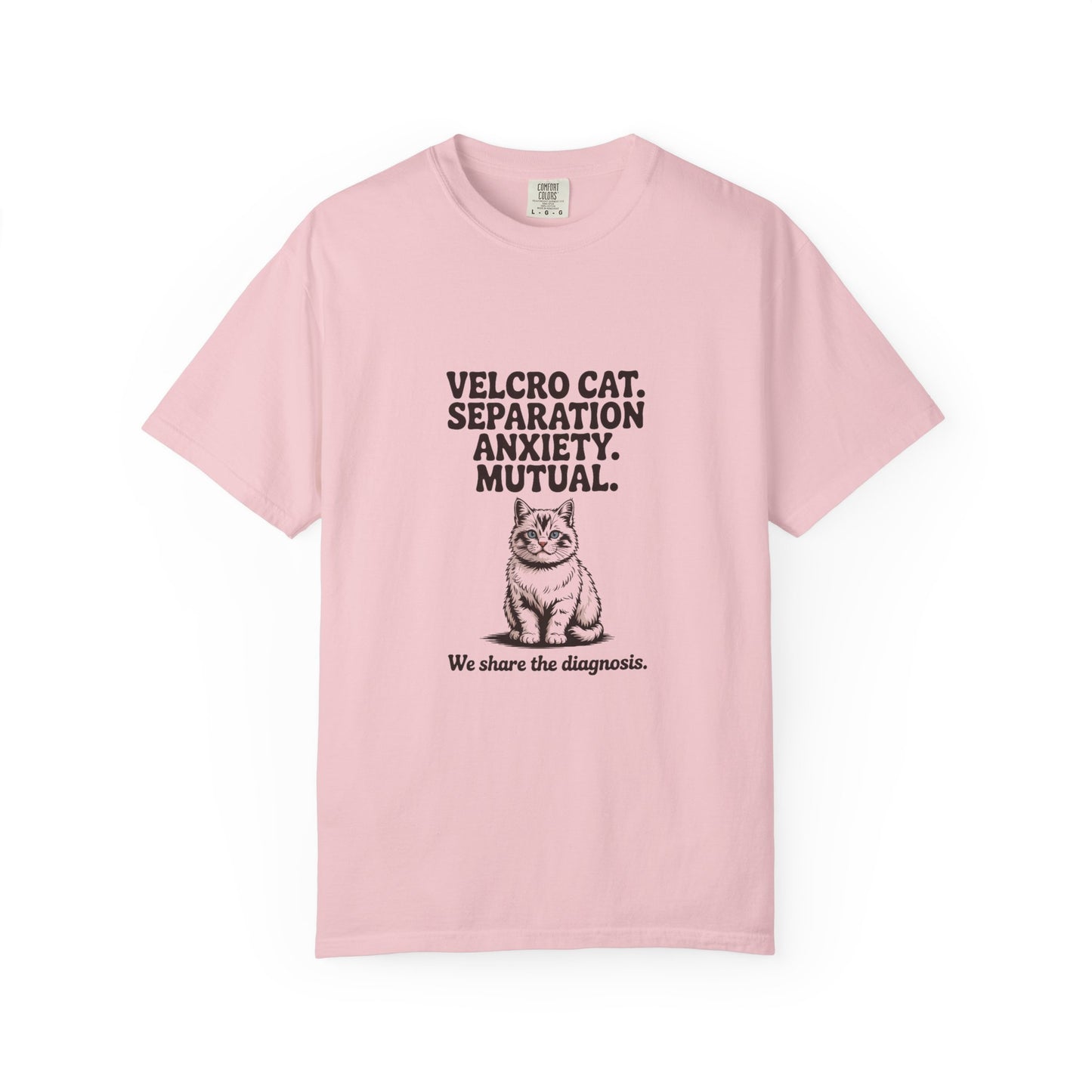 Ragdoll — Velcro cat. Separation anxiety. Mutual