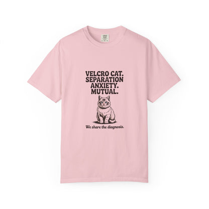 Ragdoll — Velcro cat. Separation anxiety. Mutual