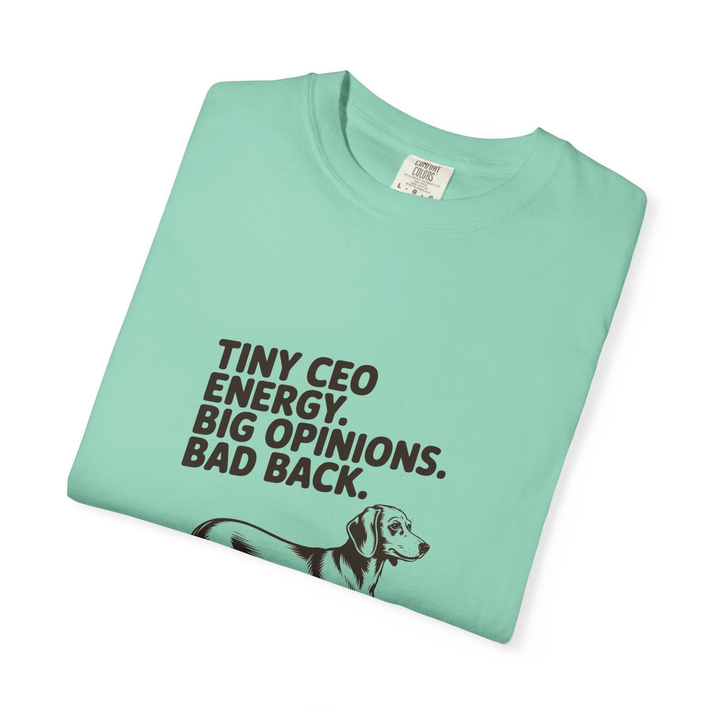 Dachshund — Tiny CEO energy. Big opinions. Bad back