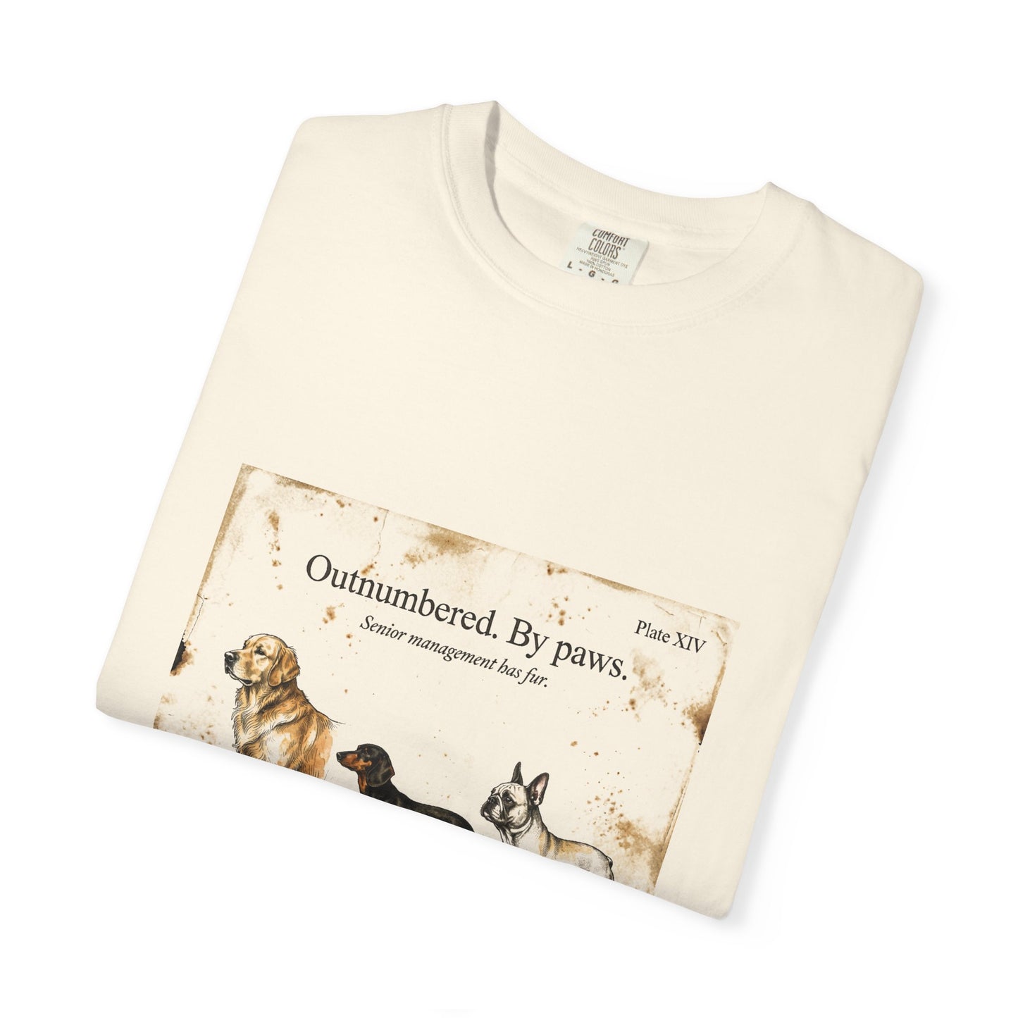 Dog Mom — Outnumbered by Paws