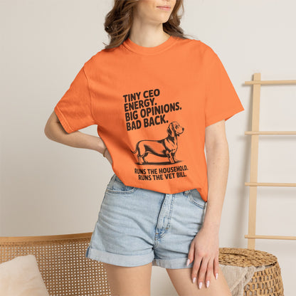 Dachshund — Tiny CEO energy. Big opinions. Bad back