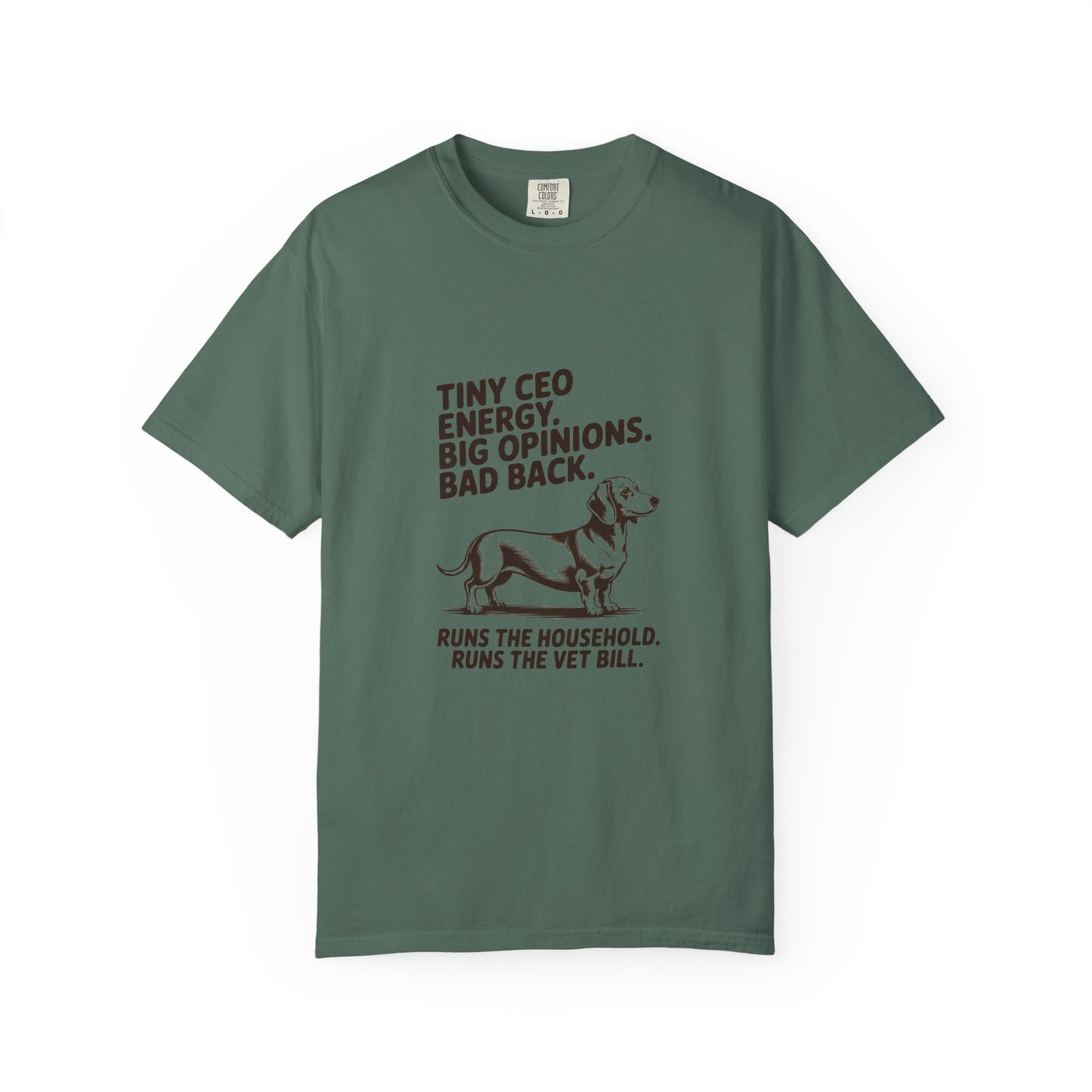 Dachshund — Tiny CEO energy. Big opinions. Bad back