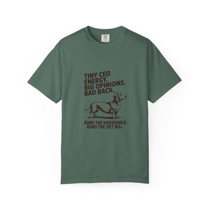 Dachshund — Tiny CEO energy. Big opinions. Bad back