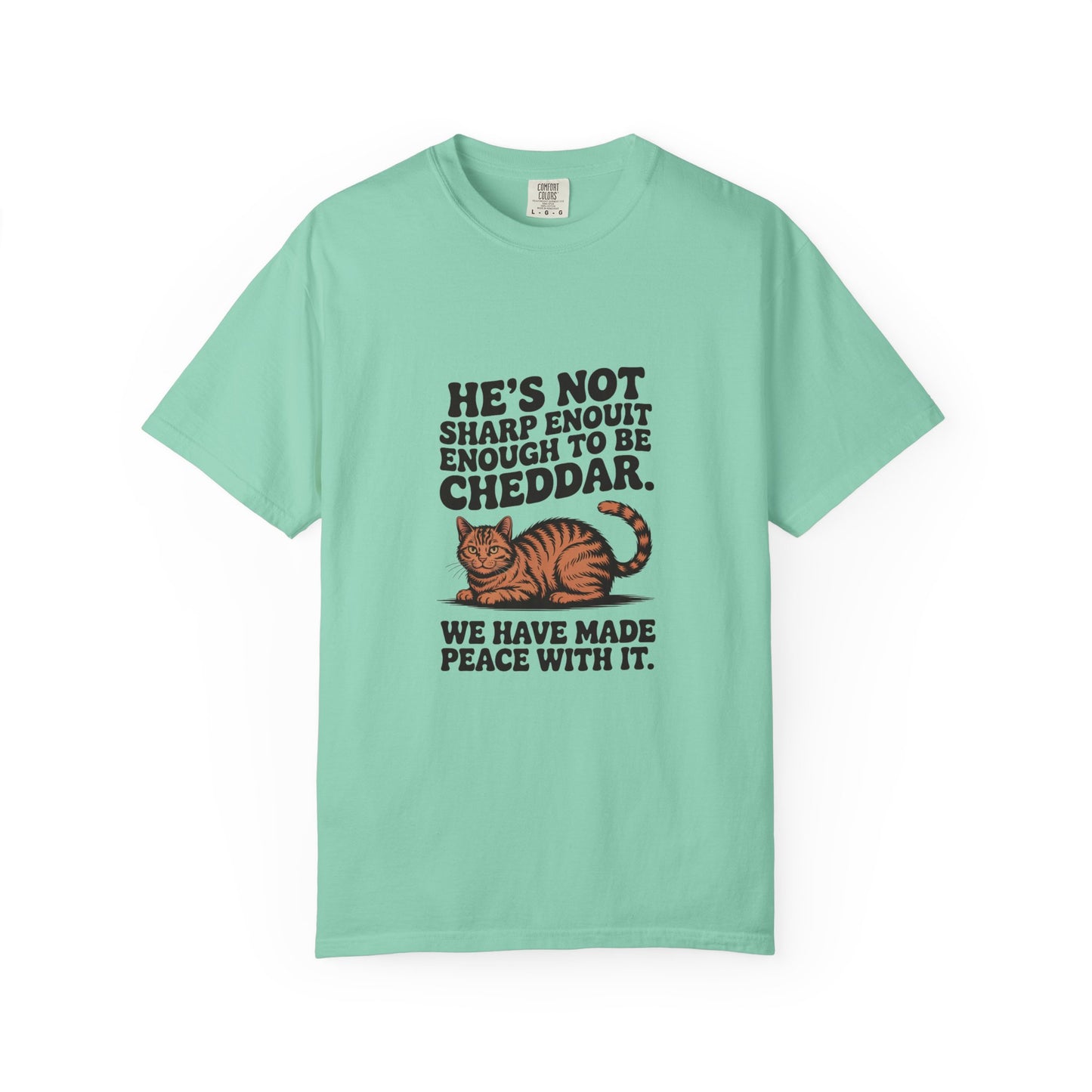 Orange Tabby — He's not sharp enough to be cheddar