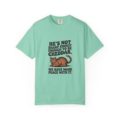 Orange Tabby — He's not sharp enough to be cheddar