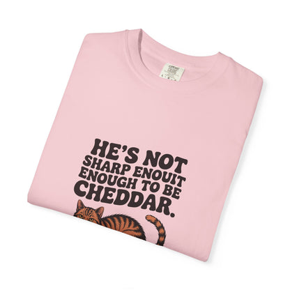 Orange Tabby — He's not sharp enough to be cheddar