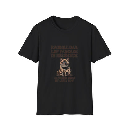 Ragdoll — Ragdoll Dad. Lap pancake in residence