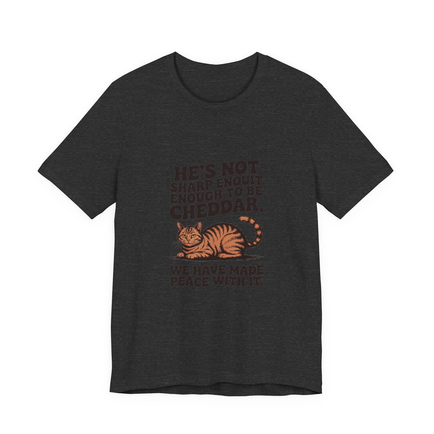 Orange Tabby — He's not sharp enough to be cheddar
